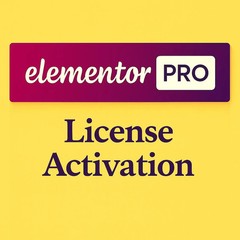 Elementor Pro License Activation Service | Auto Updates | 1 Year
