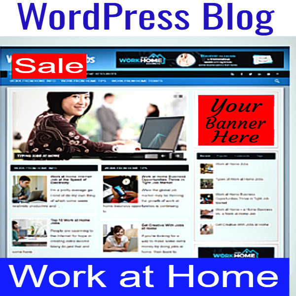 Work At Home Jobs Niche Blog WordPress-Super Alpha Unlimited Hosting Biz Op Inc