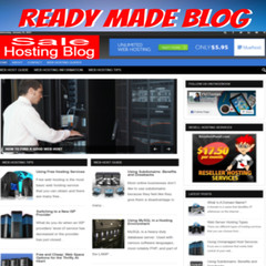 Work At Home Jobs Niche Blog WordPress-Super Alpha Unlimited Hosting Biz Op Inc