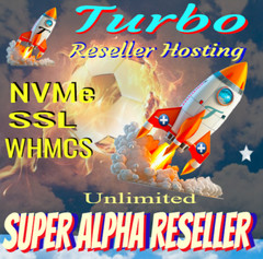Niche Blog-Chinese Food Cuisine- WordPress-Super Alpha Unlimited Hosting Biz Op