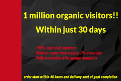1 million organic traffic, keywords targeted real visitors
