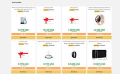 eCommerce Store with Auction and Buy-It-Now Monetization + Domain Name