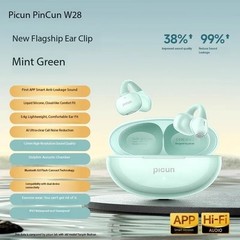 Pincun W28 Clip-on Bluetooth Earphones, Wireless, Open-Ear, Non-In-Ear