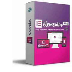 Elementor PRO – The Website Builder – WP Plugin | Free 2 Years of Updates| GPL