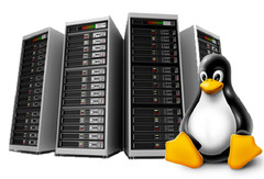 Web Hosting for Beginners – 💻 Unlimited SSD | Fast Secure Start Now – $14.99/Yr