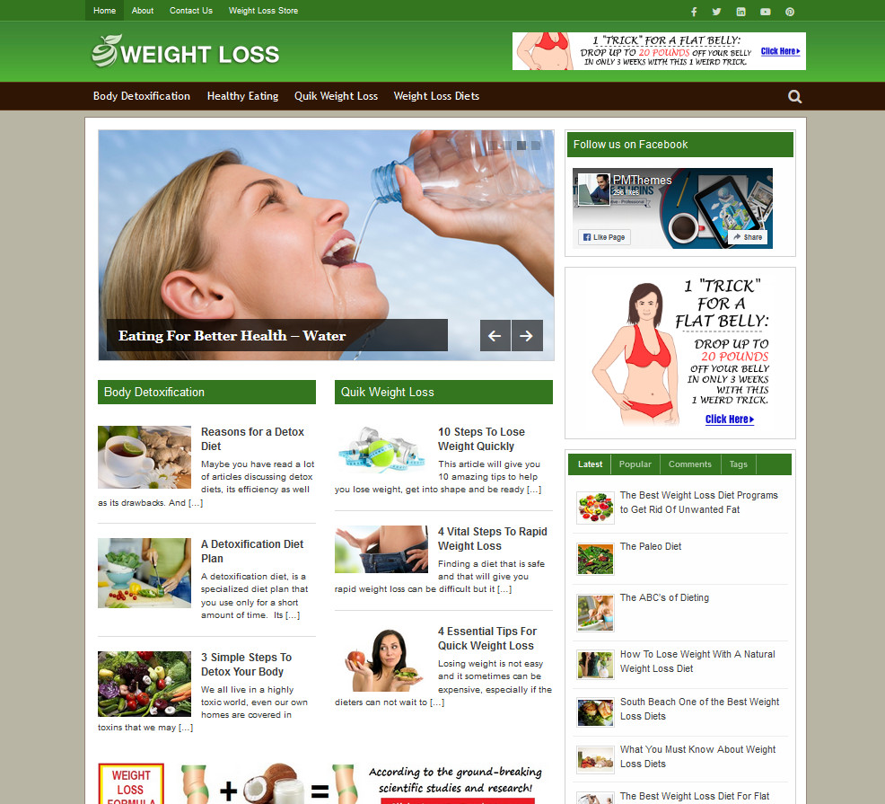 Weight Loss Tips Ready Made WordPress Website + Free Installation and Hosting