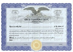 FLORIDA SEASONED CORPORATION-3 YEARS 2023+EIN+Domain+Website +Kit+ Credit Book