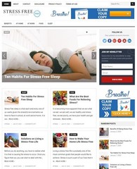 DFY STRESS FREE WORDPRESS THEME+FREE SETUP PRE-DESIGNED BANNERS AND ADS