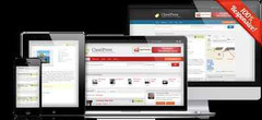 Real Estate Website + Domain Name + Hosting