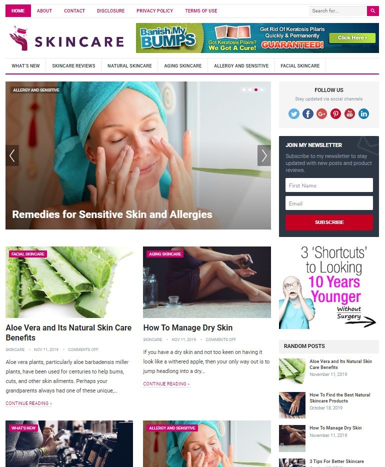 DFY SKINCARE WORDPRESS THEME+FREE SETUP PRE-DESIGNED BANNERS AND ADS