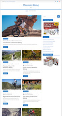 Hosting and Support For Our Niche Affiliate Websites