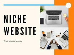 Ready Made Public Records Blog Turnkey Niche Website Business For Sale