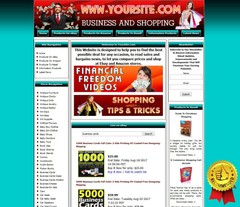 BUSINESS MONEY MAKING STORE Affiliate Website Amazon+Google Adsense