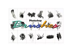 900 Photoshop Brushes (Digital Product)