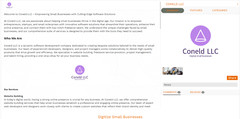 PREMIUM WEBSITE Development and Hosting in One Whole Package — Renew Services