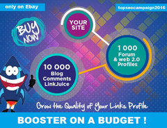 Make Link Pyramid ,1000 good domain Authority Profiles + 10k Blog Comment .SEO