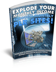 Selling PLR E books, Guides & Courses Plus Splash Pages Make Cash Online Bundle