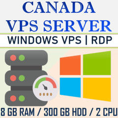 VPS Server / RDP Server / VPS Hosting – 8GB RAM + 300GB HDD – 1 Month