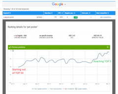 SEO for Spain, Germany, UK, France, Italy, Portugal, Netherlands