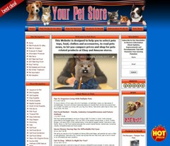 PET SUPPLIES STORE Amazon Website. Google Adsense Income Sources
