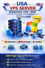 USA Windows VPS RDP Server 12GB RAM 200GB SSD Fast Remote Desktop Hosting