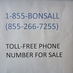 Toll Free 800 Vanity Number 855- BONSALL ideal for real estate California