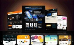 Ecommerce Website Design with Woocommerce