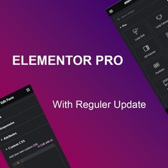 👉Elementor Pro page builder 🔥 wordpress plugin Letest version
