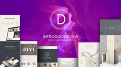 Divi Theme | Divi Builder installed for WordPress LifeTime Updates!