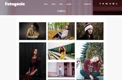 🥇 Established WordPress Premium Photography Website Theme