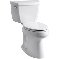 FLUSH THIS Domain name BUSINESS great for plumbing plumbers toilet kohler servic