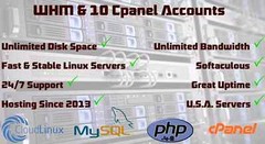 Cpanel Reseller 10 Unlimited Disk/Data Quick Setup With Instructions Delivered!