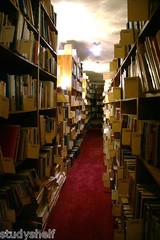 Successful AMAZON Business 100,000+ (80,000+ Cataloged) Books!
