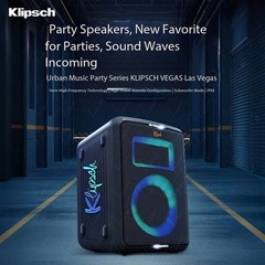 100W Portable Party Speaker System Colorful Disco Lighting Stereo Loud with Mic