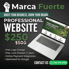 24HR WEBSITE DESIGN – SEO Optimized for Google + Free Domain + Mobile Friendly