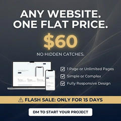 Full Custom WordPress Website Development Responsive Web Design only for 60