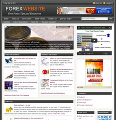Affiliate Marketing Ready Made Blog for Easy Use Niche Website Business For Sale