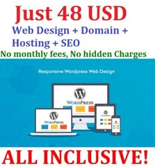 UNLIMITED WEB PAGES, Free Domain, Hosting, SEO, BESPOKE WEBSITE DESIGN WordPress