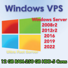 USA Windows VPS Server – RDP Server – VPS Hosting 12GB RAM + 250GB – Monthly
