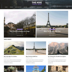 🥇 The Hive Travel News WordPress Website for Sale With AdSense & Affiliate Ads
