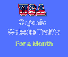 40,000 Organic USA Website Visitors per month