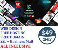 CONSULTANCY, CONSULTANT, ADVISORY WEB SITE DESIGN Pages Free Domain Hosting SSL