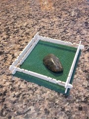 My Little Rock Pets – Business for sale!