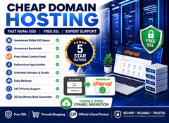 Cheap Domain Hosting – 💼Unlimited SSD + SSL + Websites + Emails | $14.99/Year!