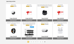 eCommerce Store with Auction and Buy-It-Now Monetization + Domain Name