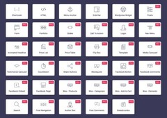 Install elementor pro latest plugin with 2 years automatic updates