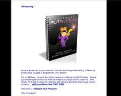 Selling PLR E books, Guides & Courses Plus Splash Pages Make Cash Online Bundle