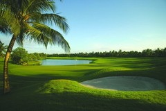 FamilyBeaches.Com Hotel Resort Travel Vacation Domain $10k Value 15 Years