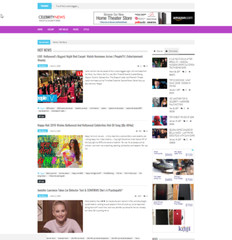 🥇 Established WordPress Celebrity News Website – Autopilot, Easy Customization