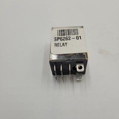 CRYOVAC RELAY SP6262-01 / 241H